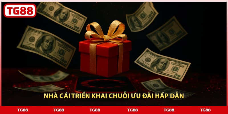 Nhà cái triển khai chuỗi ưu đãi hấp dẫn